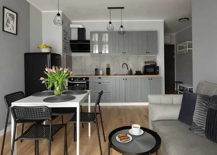 Happy 쿠도바-즈루이